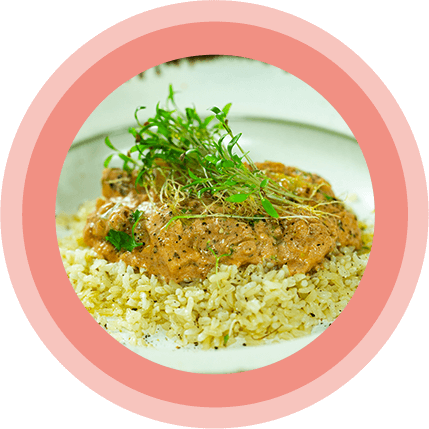 Alimentação Plant Based